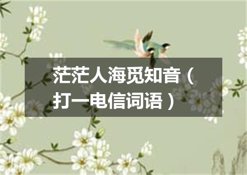 茫茫人海觅知音（打一电信词语）
