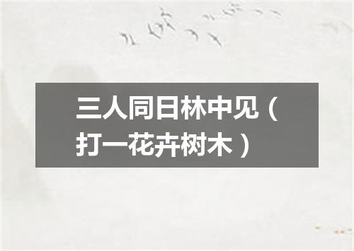 三人同日林中见（打一花卉树木）