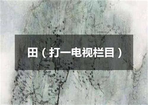 田（打一电视栏目）