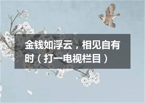 金钱如浮云，相见自有时（打一电视栏目）
