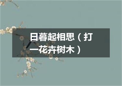 日暮起相思（打一花卉树木）