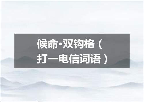 候命·双钩格（打一电信词语）