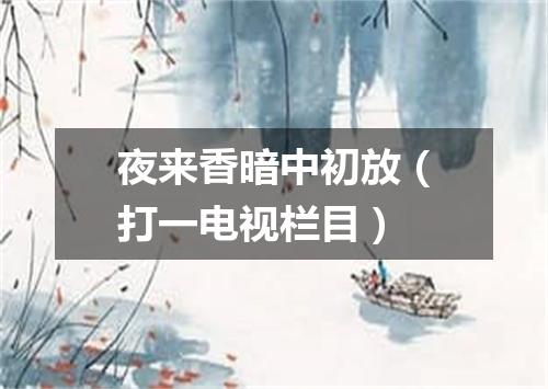 夜来香暗中初放（打一电视栏目）