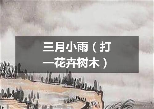 三月小雨（打一花卉树木）
