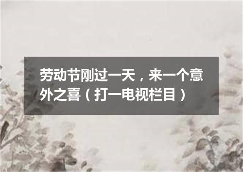 劳动节刚过一天，来一个意外之喜（打一电视栏目）