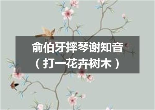 俞伯牙摔琴谢知音（打一花卉树木）