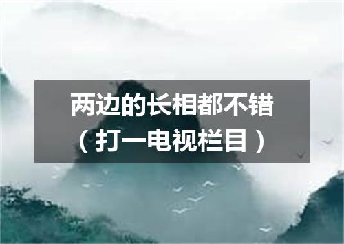 两边的长相都不错（打一电视栏目）