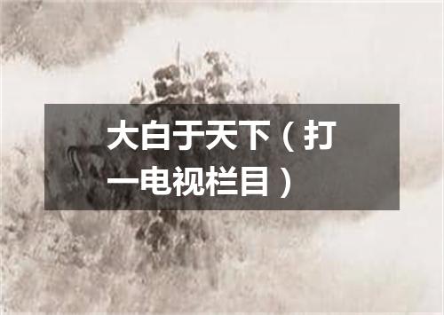 大白于天下（打一电视栏目）