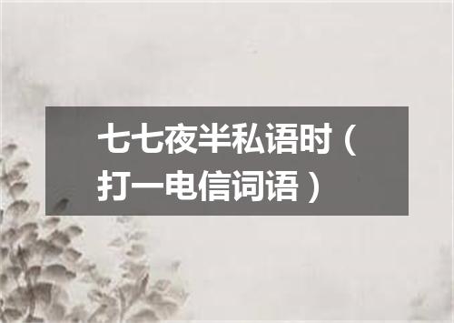 七七夜半私语时（打一电信词语）