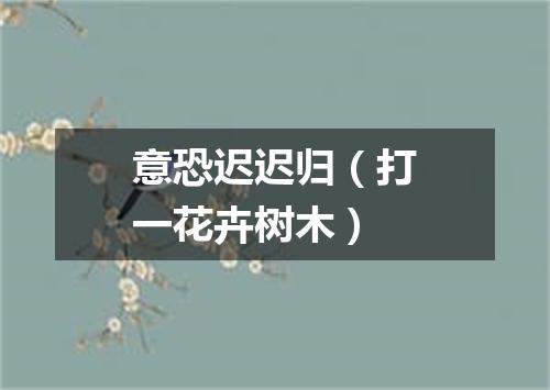 意恐迟迟归（打一花卉树木）