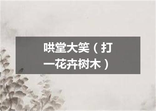 哄堂大笑（打一花卉树木）