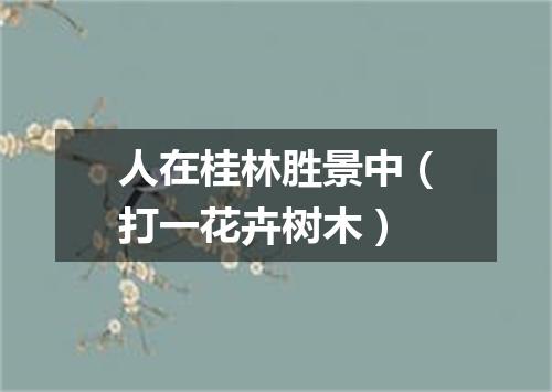 人在桂林胜景中（打一花卉树木）