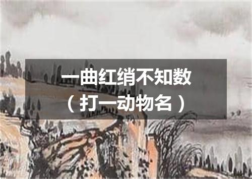 一曲红绡不知数（打一动物名）