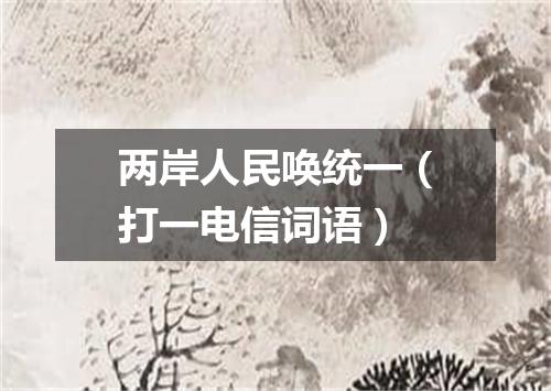 两岸人民唤统一（打一电信词语）