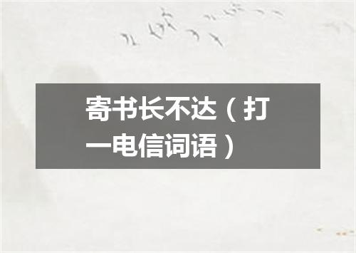 寄书长不达（打一电信词语）