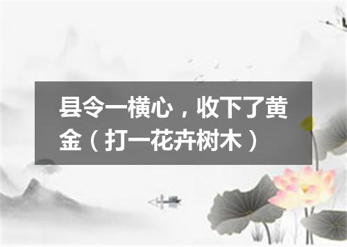 县令一横心，收下了黄金（打一花卉树木）