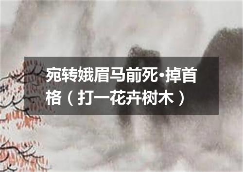 宛转娥眉马前死·掉首格（打一花卉树木）