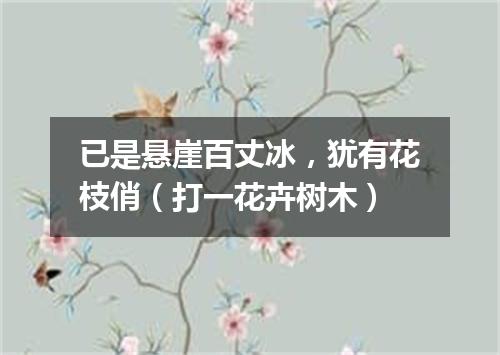 已是悬崖百丈冰，犹有花枝俏（打一花卉树木）