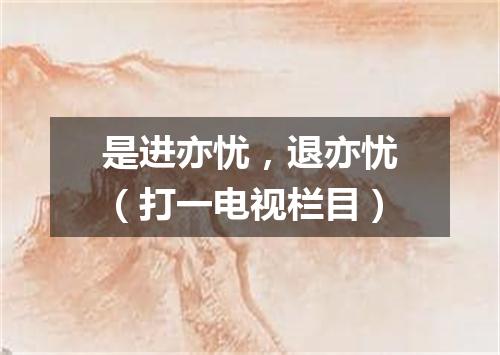 是进亦忧，退亦忧（打一电视栏目）