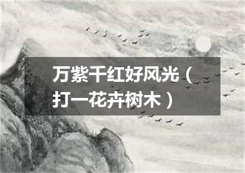万紫千红好风光（打一花卉树木）