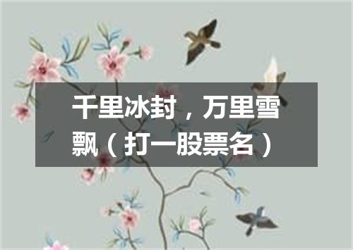 千里冰封，万里雪飘（打一股票名）