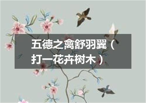五德之禽舒羽翼（打一花卉树木）