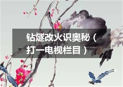 钻燧改火识奥秘（打一电视栏目）