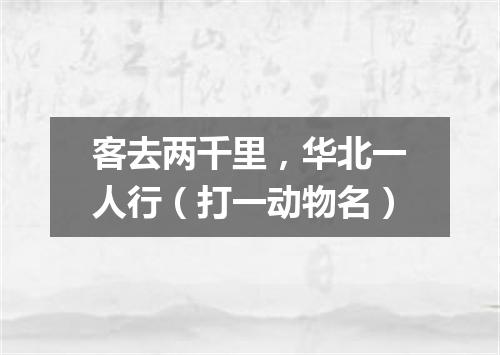 客去两千里，华北一人行（打一动物名）