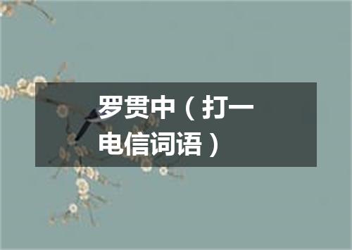 罗贯中（打一电信词语）