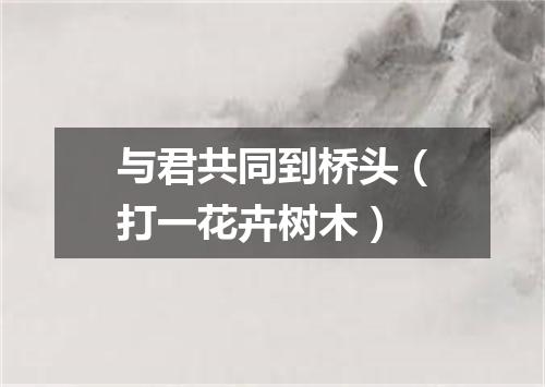 与君共同到桥头（打一花卉树木）
