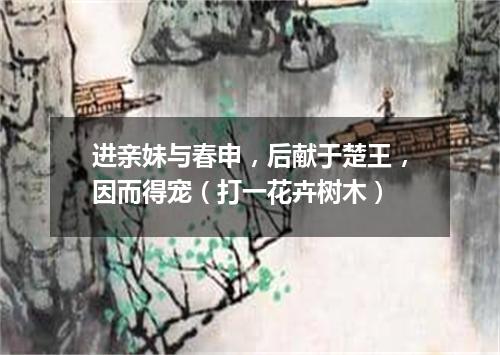 进亲妹与春申，后献于楚王，因而得宠（打一花卉树木）