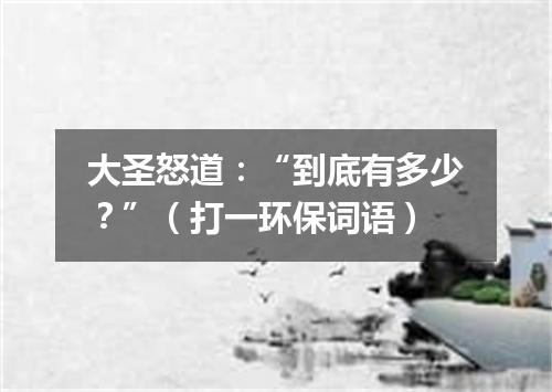大圣怒道：“到底有多少？”（打一环保词语）