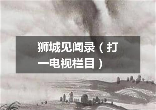 狮城见闻录（打一电视栏目）