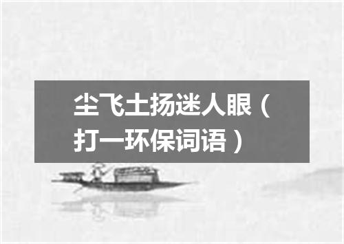 尘飞土扬迷人眼（打一环保词语）
