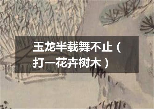 玉龙半载舞不止（打一花卉树木）