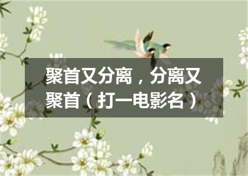 聚首又分离，分离又聚首（打一电影名）