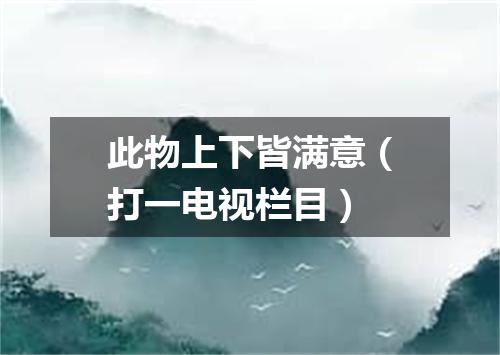 此物上下皆满意（打一电视栏目）