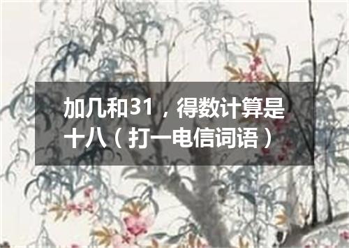加几和31，得数计算是十八（打一电信词语）