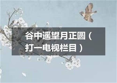 谷中遥望月正圆（打一电视栏目）