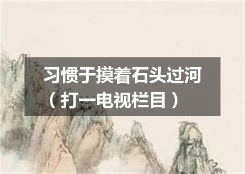 习惯于摸着石头过河（打一电视栏目）