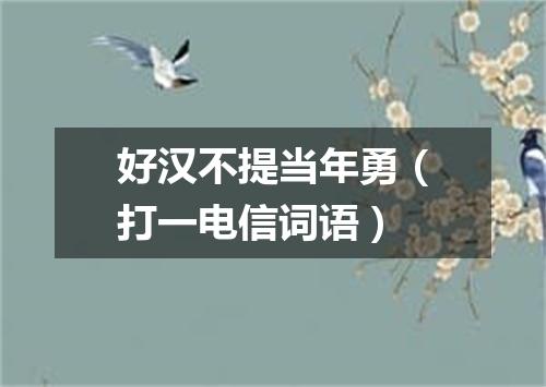 好汉不提当年勇（打一电信词语）