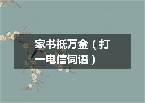 家书抵万金（打一电信词语）