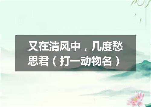 又在清风中，几度愁思君（打一动物名）