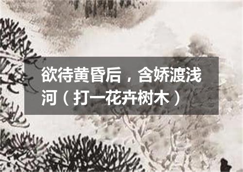 欲待黄昏后，含娇渡浅河（打一花卉树木）