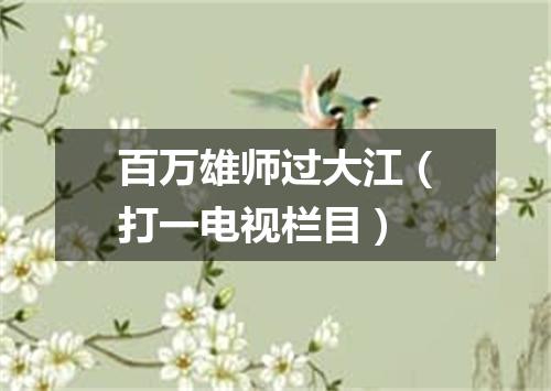 百万雄师过大江（打一电视栏目）