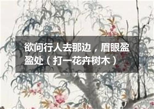 欲问行人去那边，眉眼盈盈处（打一花卉树木）