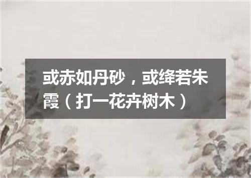 或赤如丹砂，或绛若朱霞（打一花卉树木）
