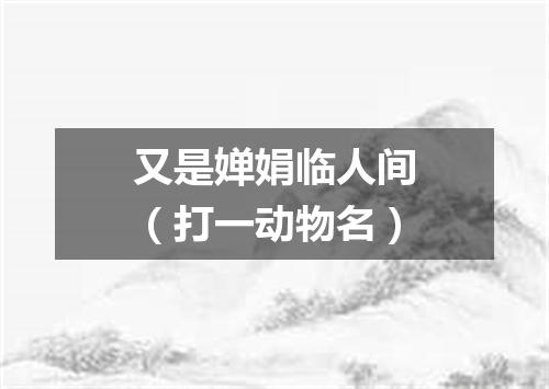 又是婵娟临人间（打一动物名）