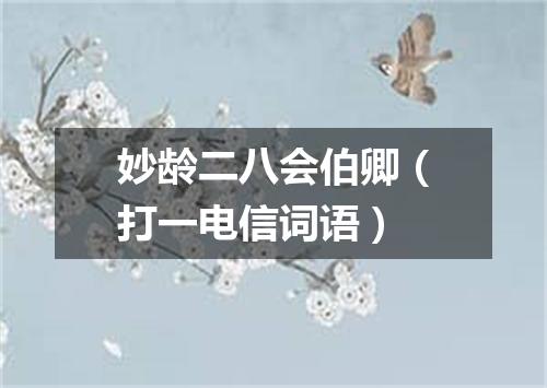 妙龄二八会伯卿（打一电信词语）
