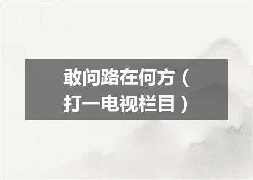 敢问路在何方（打一电视栏目）
